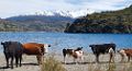 0157-dag-10-108-Carretera Austral Lago Bertrand